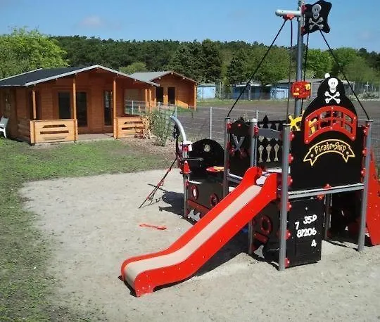 Inselzauber - Strandnelke